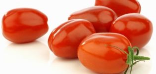 إنتاجية وخصائص ووصف صنف الطماطم الديك الأحمر
