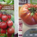 Description of the tomato variety Senior tomato and its yield