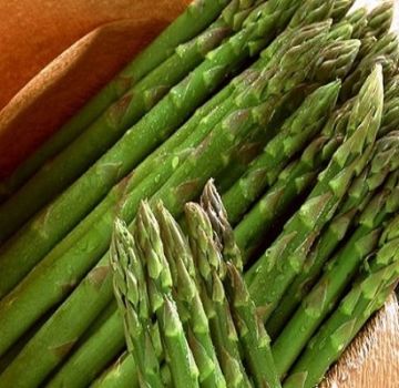 What is asparagus, its types and where it grows, the benefits and harms