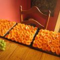 How to properly store dried apricots at home