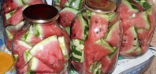 Heerlijke instantrecepten voor ingelegde watermeloenen voor de winter in potjes