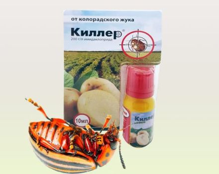 Mga tagubilin para sa paggamit ng gamot na Mamamatay mula sa Colorado potato beetle