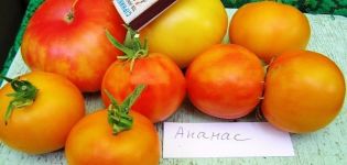 Beskrivning av tomatsorten Ananas, funktioner för odling och skötsel