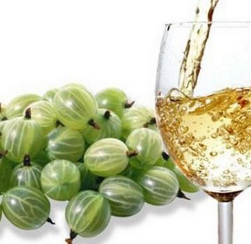 15 facili ricette passo-passo per preparare il vino all'uva spina a casa