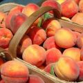 Hoe perziken thuis in de koelkast, vriezer en kelder te bewaren