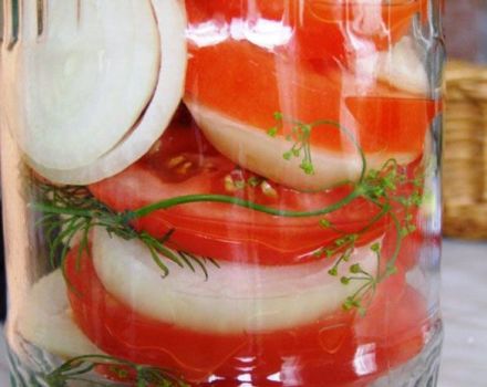 Paprastas nuostabių pomidorų receptai želė žiemai, jums bus laižyti pirštus