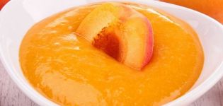 TOP 6 köstliche Rezepte für die Herstellung von Aprikosensauce für den Winter
