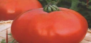 Beskrivning av tomatsorten Handväska och dess egenskaper