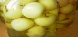 Steg-för-steg-recept för matlagning av omogen äpplekompot för vintern
