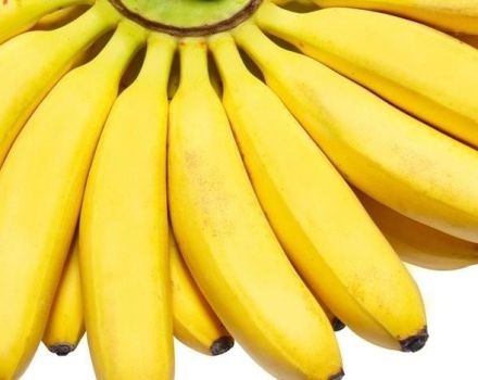 10 najlepších banánových receptov krok za krokom na zimu