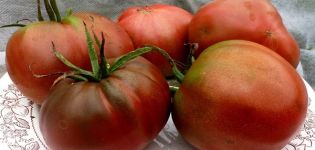 Opis odrody paradajok Chernomor, jej pestovanie a výnos
