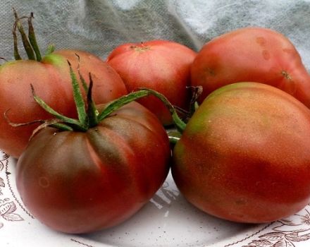 Beskrivning av Chernomor-tomatsorten, dess odling och utbyte