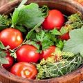 TOP 16 geriausių sūdytų pomidorų patiekimo į stiklainius šaltu būdu be acto receptų