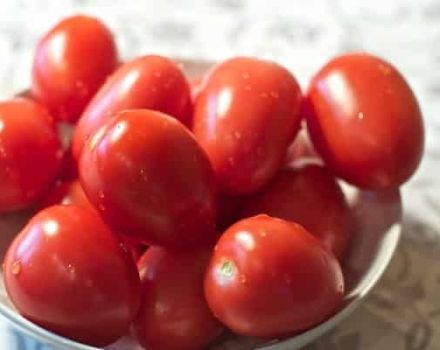 Las variedades dulces insaturadas y de bajo crecimiento más productivas de tomates de la serie Nepas