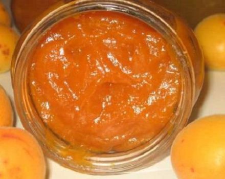 TOP 14 recipes for cooking canned apricots for the winter