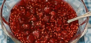 TOP 20 jednoduchých a chutných receptov na výrobu malinového džemu na zimu