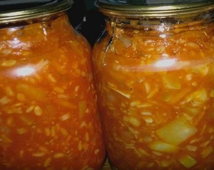 9 mejores recetas para cocinar tomates con arroz para el invierno