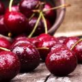 Useful properties and harm of cherries for human health and contraindications