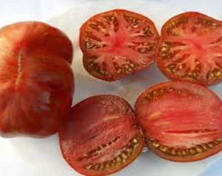 Egenskaper och beskrivning av Berkeley Tai Dai-tomatsorten