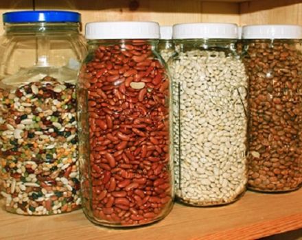 How to store beans correctly at home so that bugs don't start