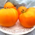 Χαρακτηριστικά και περιγραφή της ποικιλίας ντομάτας Orange Strawberry German, η απόδοσή της