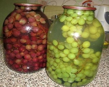 TOP 2 recetas de uvas enlatadas en almíbar para el invierno