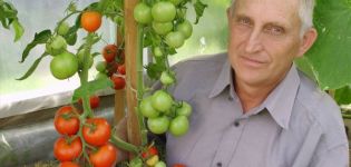 Opis odrody paradajok Unikátny Kulchitsky, vlastnosti pestovania a starostlivosti