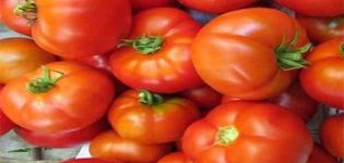 Descrizione della varietà di pomodoro Madonna f1, caratteristiche di coltivazione e cura
