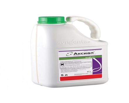 Instructies voor het gebruik van herbicide Axial, consumptiesnelheden en analogen