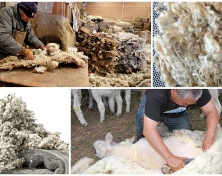 Que peut-on faire de laine de mouton, types et classification des fibres