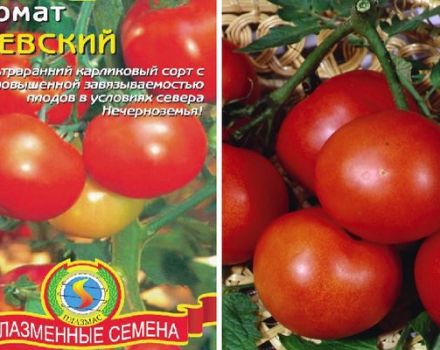 Nevsky tomātu šķirnes apraksts, tās īpašības un kopšana