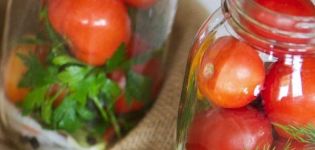 TOP 11 receptų, kaip žiemą marinuoti pomidorus su gvazdikėliais