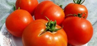 Características y descripción de la variedad de tomate Labrador, su rendimiento.