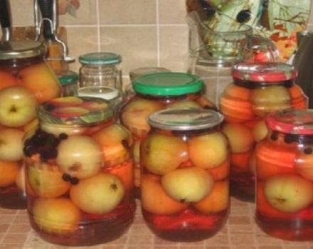Một công thức tuyệt vời để làm món táo trộn táo cho mùa đông