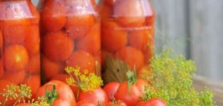 10 bästa recept för att göra inlagda söta tomater för vintern