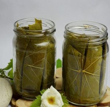 3 geriausių marinuotų agurkų receptų šaltajam vandenyje receptai žiemai