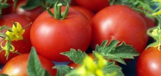 Egenskaper och beskrivning av Jane-tomatsorten