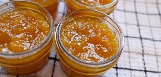 Stapsgewijs recept voor het maken van suikervrije appeljam voor de winter