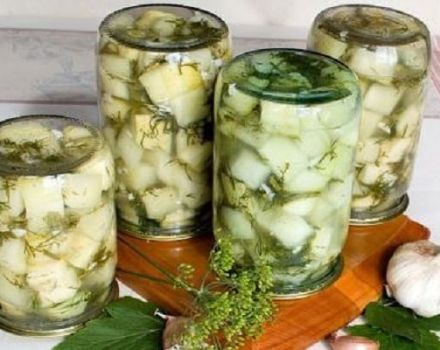 TOP 10 steg-för-steg-recept för matlagning av zucchini, som svamp på vintern, med och utan sterilisering