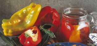 TOP 3 originálne recepty na morenie sladkej papriky na zimu s cesnakom