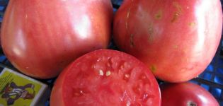 Pomidorų veislės Sevruga arba Pudovik savybės ir aprašymas, derlius