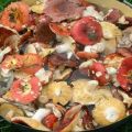 12 simple recipes for making pickled russula for the winter at home
