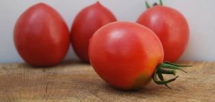 Description de la variété de tomate Slavyanka, ses caractéristiques et sa productivité