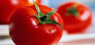 Beschrijving van Tomatenslot en kenmerken van de variëteit