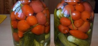 Topp 10 recept för blandade gurkor och tomater för vintern