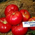 Egenskaper och beskrivning av tomatsorten Bärs tass, dess utbyte