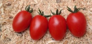 Kenmerken en beschrijving van de tomatensoort Caramel, kenmerken van landbouwtechnologie