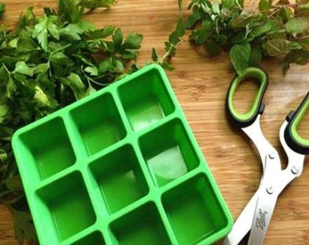 The easiest options for how you can freeze parsley for the winter in the refrigerator