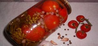 Recept för betning av tomater med röda vinbär för vintern