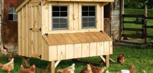 How to build a do-it-yourself chicken coop in the country, device and necessary materials